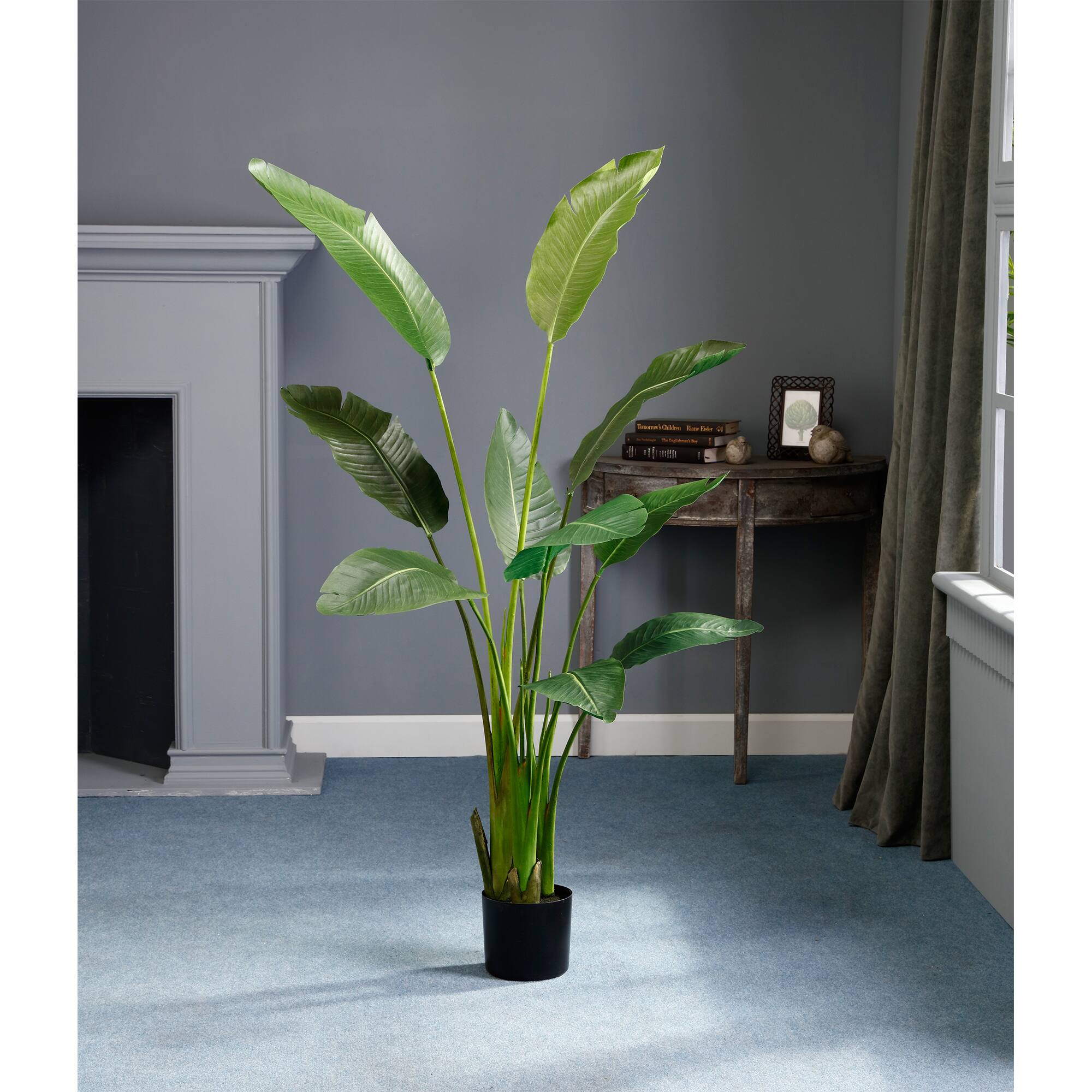 5 Ft. Bird of Paradise Plant